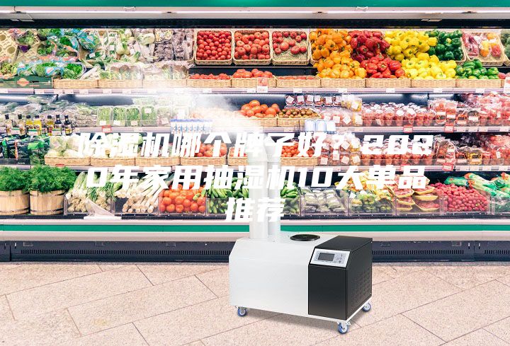 除濕機哪個牌子好？2020年家用抽濕機10大單品推薦