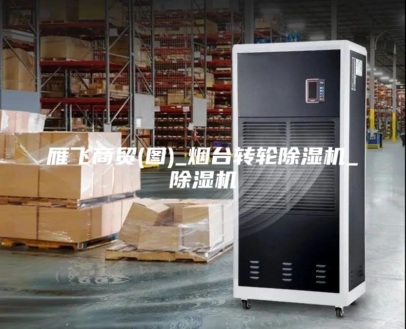 雁飛商貿(mào)(圖)_煙臺轉(zhuǎn)輪除濕機(jī)_除濕機(jī)