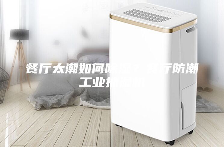 餐廳太潮如何除濕？餐廳防潮工業(yè)抽濕機(jī)