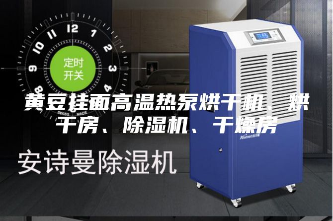 黃豆掛面高溫熱泵烘干機、烘干房、除濕機、干燥房