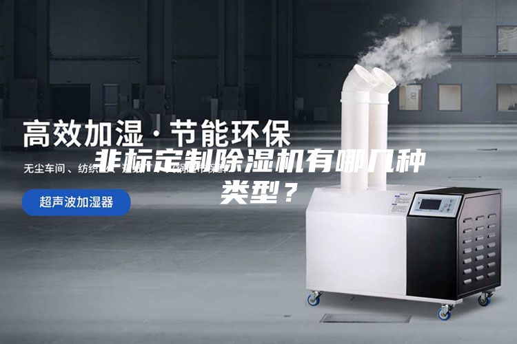 非標(biāo)定制除濕機有哪幾種類型？