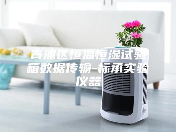 青浦區(qū)恒溫恒濕試驗(yàn)箱數(shù)據(jù)傳輸-標(biāo)承實(shí)驗(yàn)儀器