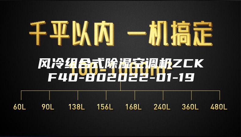 風(fēng)冷組合式除濕空調(diào)機ZCKF40-802022-01-19