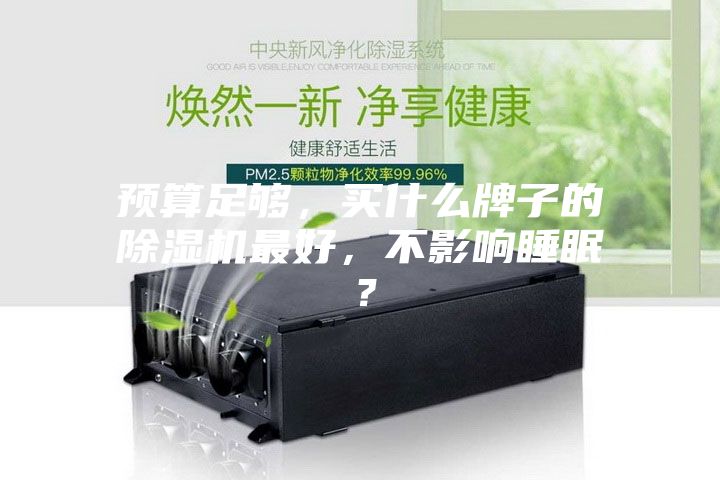 預(yù)算足夠，買什么牌子的除濕機最好，不影響睡眠？