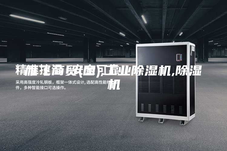 雁飛商貿(mào)(圖),工業(yè)除濕機(jī),除濕機(jī)