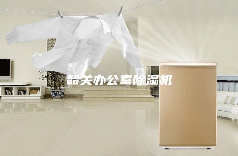 韶關(guān)辦公室除濕機
