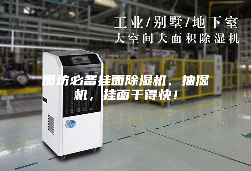 面坊必備掛面除濕機、抽濕機，掛面干得快！