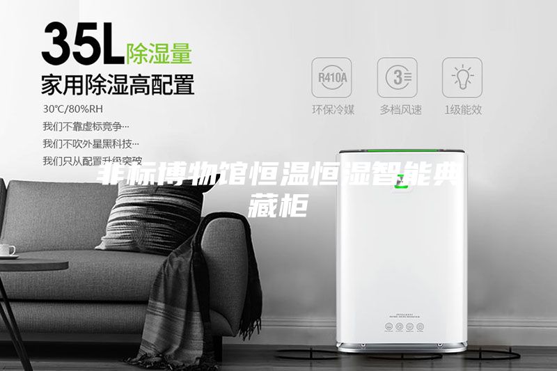 非標(biāo)博物館恒溫恒濕智能典藏柜