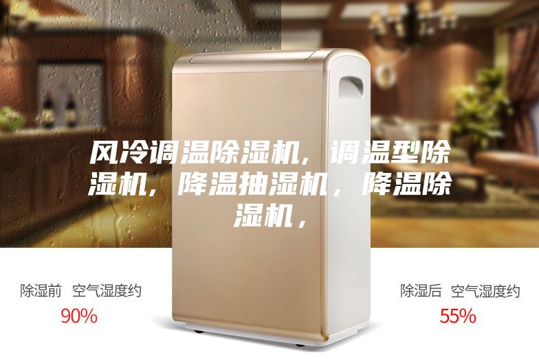 風(fēng)冷調(diào)溫除濕機, 調(diào)溫型除濕機, 降溫抽濕機，降溫除濕機，