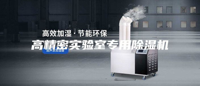 高精密實(shí)驗(yàn)室專用除濕機(jī)