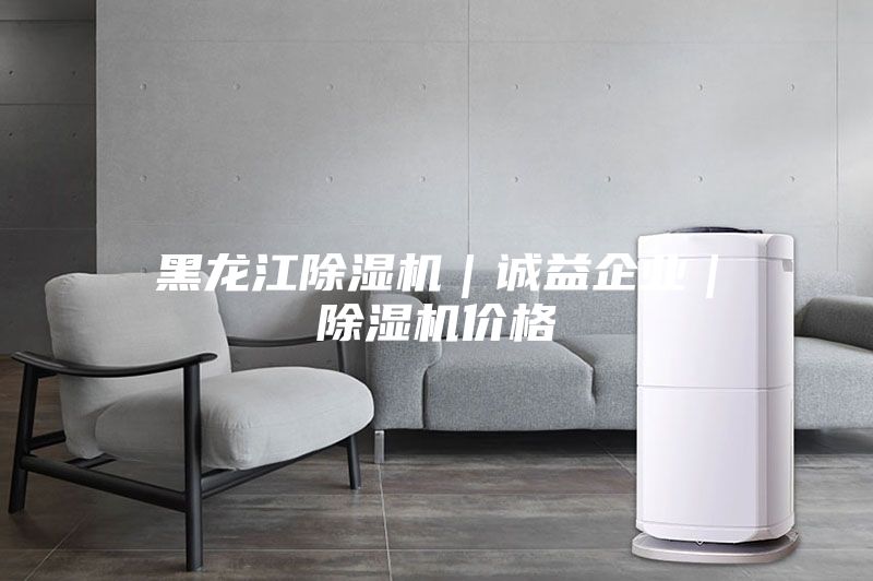 黑龍江除濕機｜誠益企業(yè)｜除濕機價格