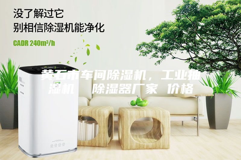 黃石市車間除濕機，工業(yè)抽濕機  除濕器廠家 價格