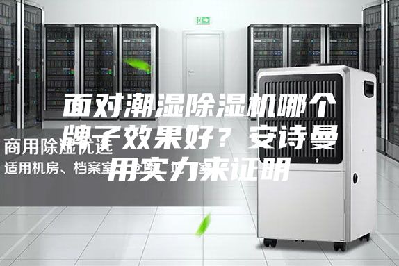 面對潮濕除濕機哪個牌子效果好？安詩曼用實力來證明