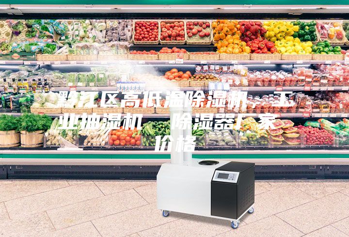 黔江區(qū)高低溫除濕機，工業(yè)抽濕機  除濕器廠家 價格