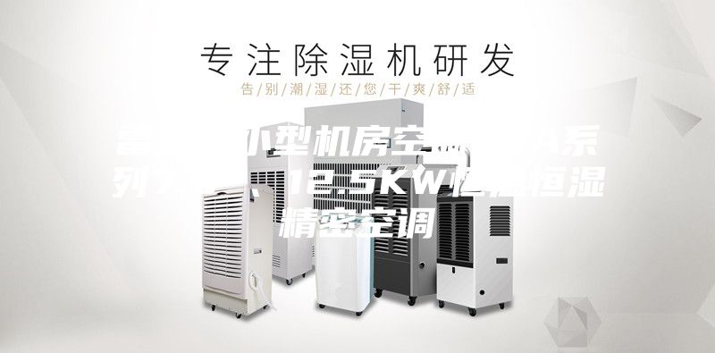 雷迪司小型機房空調(diào)LSA系列7.5 、12.5KW恒溫恒濕精密空調(diào)