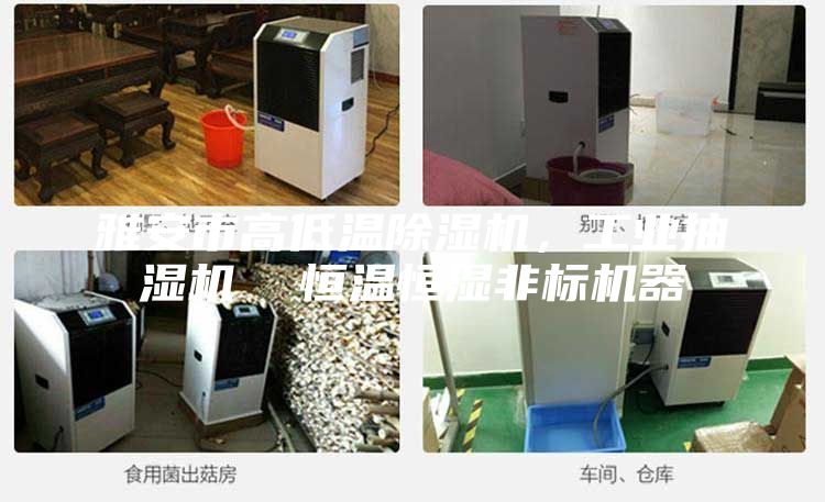 雅安市高低溫除濕機(jī)，工業(yè)抽濕機(jī)  恒溫恒濕非標(biāo)機(jī)器