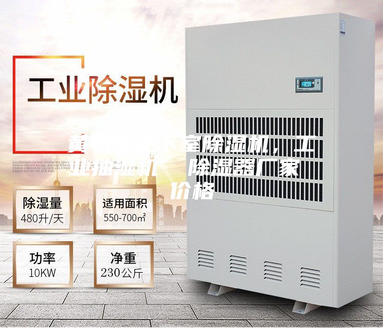 黃石市地下室除濕機，工業(yè)抽濕機  除濕器廠家 價格
