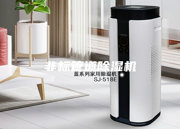 非標(biāo)管道除濕機