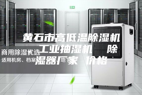 黃石市高低溫除濕機，工業(yè)抽濕機  除濕器廠家 價格