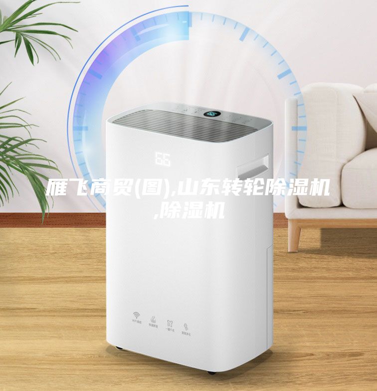 雁飛商貿(mào)(圖),山東轉(zhuǎn)輪除濕機,除濕機