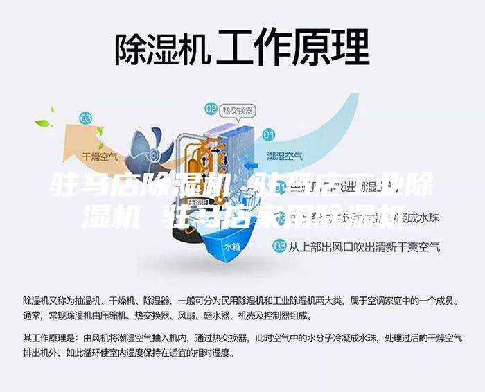 駐馬店除濕機 駐馬店工業(yè)除濕機 駐馬店家用除濕機