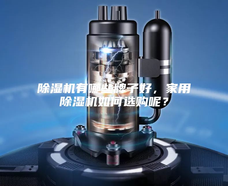 除濕機(jī)有哪些牌子好，家用除濕機(jī)如何選購(gòu)呢？
