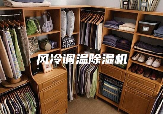風(fēng)冷調(diào)溫除濕機