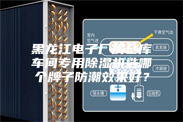 黑龍江電子廠房倉庫車間專用除濕機選哪個牌子防潮效果好？