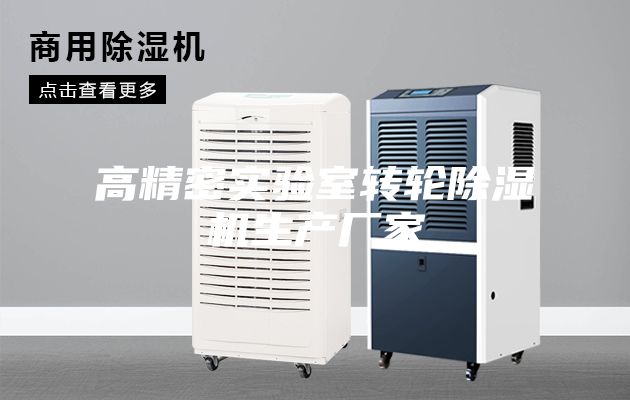 高精密實(shí)驗(yàn)室轉(zhuǎn)輪除濕機(jī)生產(chǎn)廠家