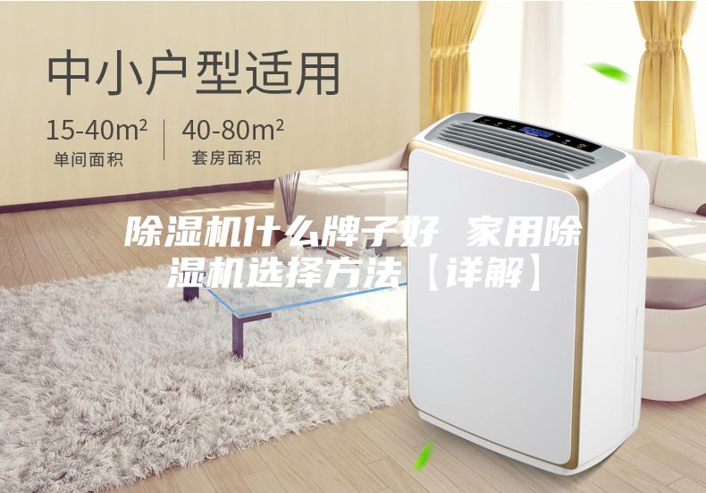 除濕機(jī)什么牌子好 家用除濕機(jī)選擇方法【詳解】