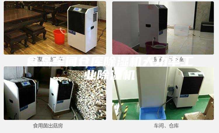 食品車間倉(cāng)庫(kù)除濕機(jī)大功率工業(yè)除濕機(jī)