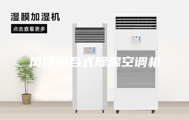 風(fēng)冷組合式除濕空調(diào)機