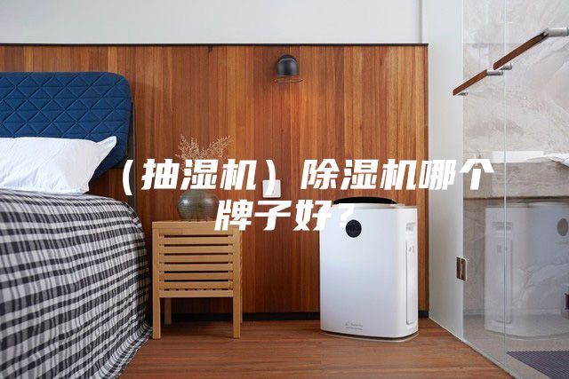 （抽濕機）除濕機哪個牌子好？