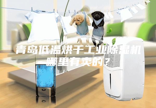 青島低溫烘干工業(yè)除濕機(jī)哪里有賣的？