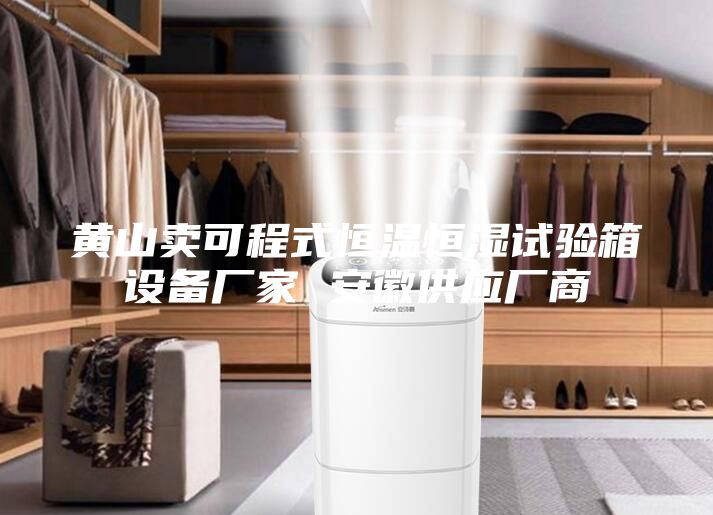 黃山賣可程式恒溫恒濕試驗箱設(shè)備廠家 安徽供應(yīng)廠商