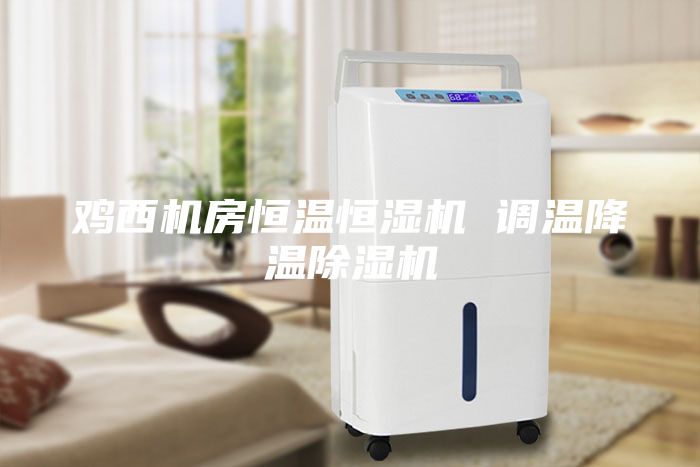 雞西機房恒溫恒濕機 調(diào)溫降溫除濕機