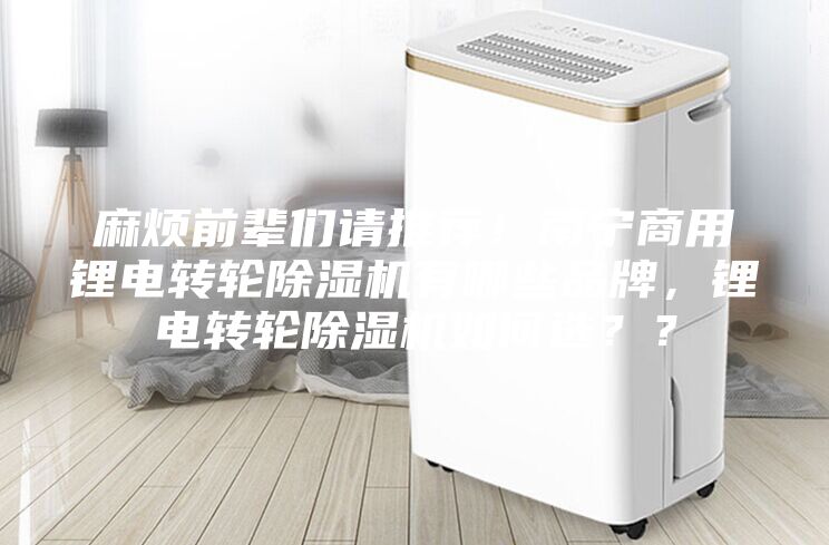 麻煩前輩們請(qǐng)推薦！南寧商用鋰電轉(zhuǎn)輪除濕機(jī)有哪些品牌，鋰電轉(zhuǎn)輪除濕機(jī)如何選？？