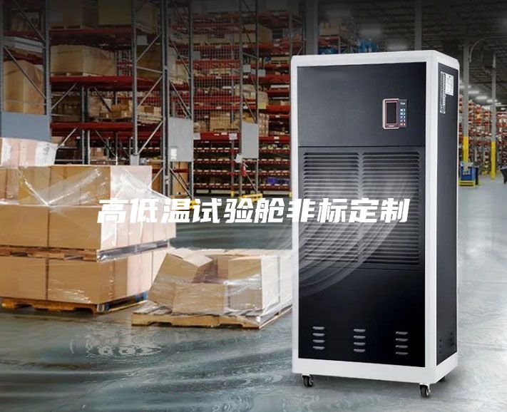 高低溫試驗(yàn)艙非標(biāo)定制