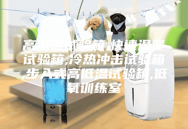 高低溫試驗(yàn)箱,快速溫變?cè)囼?yàn)箱,冷熱沖擊試驗(yàn)箱,步入式高低溫試驗(yàn)箱,低氧訓(xùn)練室