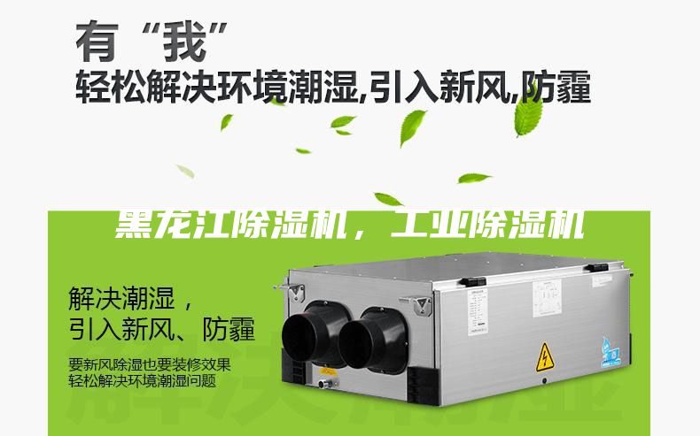 黑龍江除濕機(jī)，工業(yè)除濕機(jī)