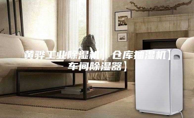 黃驊工業(yè)除濕機】倉庫抽濕機】車間除濕器】