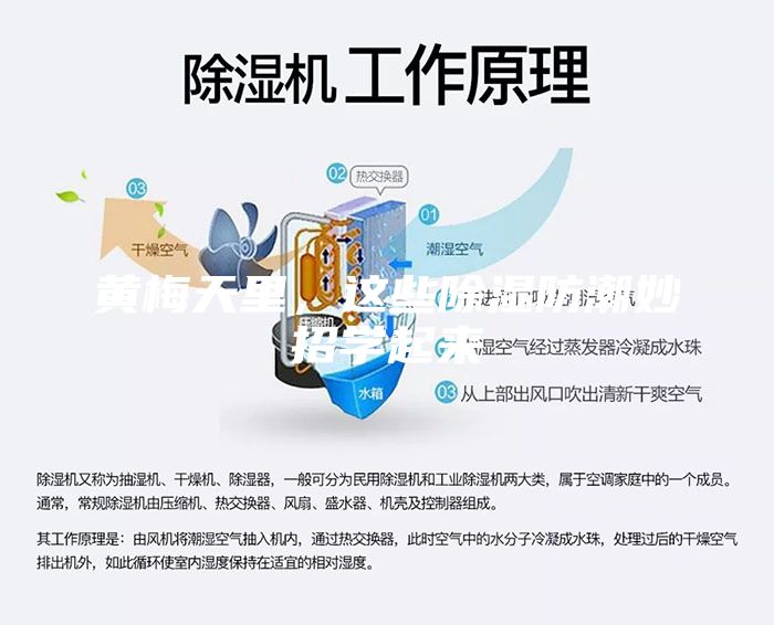 黃梅天里，這些除濕防潮妙招學(xué)起來