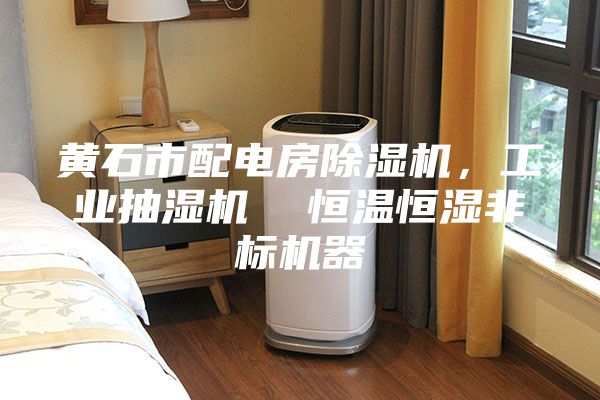 黃石市配電房除濕機，工業(yè)抽濕機  恒溫恒濕非標(biāo)機器